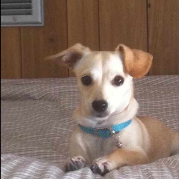 Meet your Posher, Cynthia - Picture 1 of 1